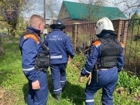 Барина, застрявшего в заборе, освободили коломенские спасатели Новости Коломны 